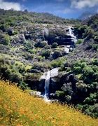 Image result for Three Rivers Sequoia National Park