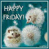 Image result for Happy Friday Cute Animals