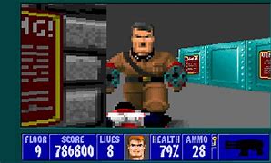 Image result for wolfenstein 3d pc game