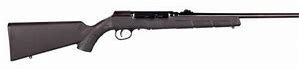 Image result for Semi Auto 22LR