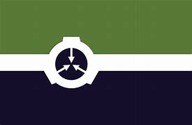 Image result for SCP Flag