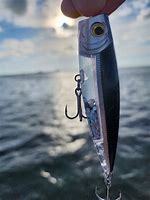 Image result for Popper Lure