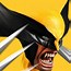 Image result for Wolverine Character