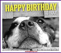 Image result for Puppy Birthday Meme