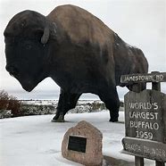 Image result for Big Buffalo