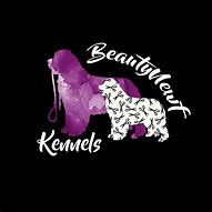 Image result for Dog Grooming Logo Ideas