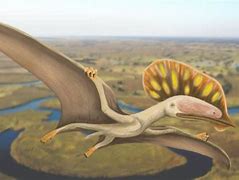 Image result for Alaska Pterosaur