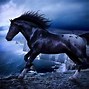 Image result for Dark Hare Horse