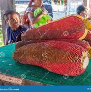 Image result for Buah Merah Tree