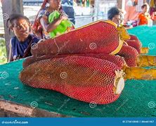 Image result for Buah Merah Dari