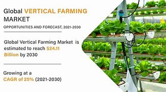 Image result for Vertical Insect Farming Industry