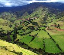 Image result for Tropical Andes