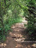 Image result for Faerie Glen Nature Reserve