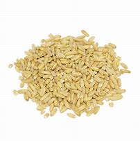 Image result for Unhulled Oat Groats