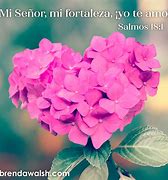 Image result for Salmos 18 1