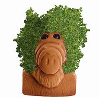 Image result for Classic Chia Pet