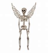 Image result for Angel Skeleton Found