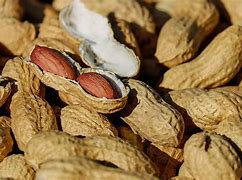 Image result for Peanut Hay Protein