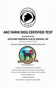 Image result for AKC Pal Certificate