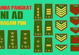 Image result for Pangkat TNI