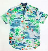 Image result for Bald Man in Hawaiian Shirts