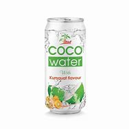 Image result for Kumquat Coconut Drink