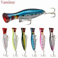 Image result for Popper Lure