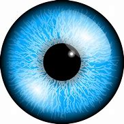 Image result for Pons Eye Globe Face