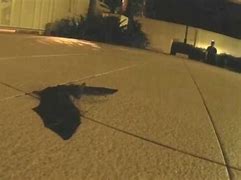 Image result for Baby Bat On Outside of Window