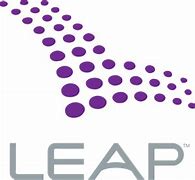 Image result for Leap Logo Small