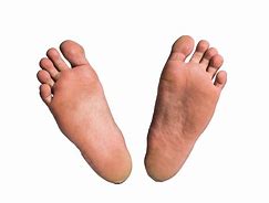 Image result for Toes PNG