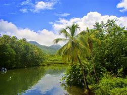 Image result for Dominica Rivers