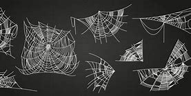 Image result for Spider Web Vector