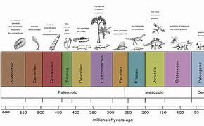 Image result for Geologic Time Scale Timeline