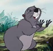 Image result for Gopher Pooh