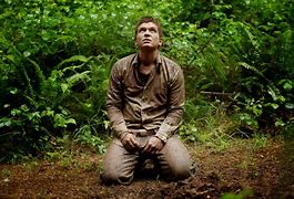 Image result for Robbie Cole Rainforest