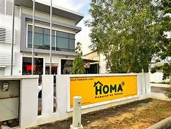 Image result for Homa Irons