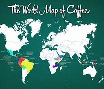 Image result for Coffee Bean Map