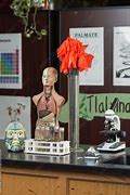 Image result for Lab Table Accessories