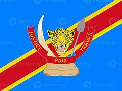 Image result for Congo Official Flag