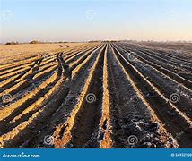 Image result for Arable Land in Israel