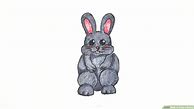 Image result for Cool Rabbit Artwork