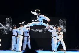 Image result for Taekwondo Tigers