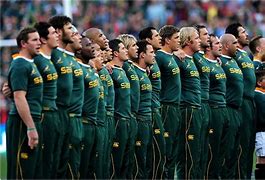 Image result for South African Rugby World Cup Squad