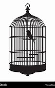 Image result for Ice Bird Cage