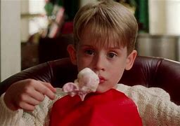 Image result for Home All Alone