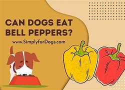 Image result for Frozen Bell Peppers for Dogs