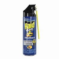 Image result for Raid Ant Spray