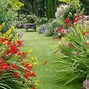 Image result for Dirt Path Garden