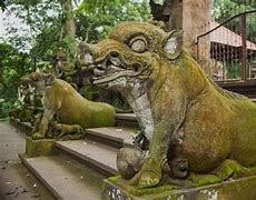 Image result for Ancient Old Moss-Covered City